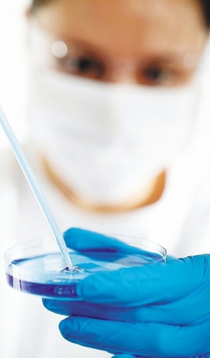 As&iacute; funcionar&aacute; el Ministerio de Ciencia y Tecnolog&iacute;a