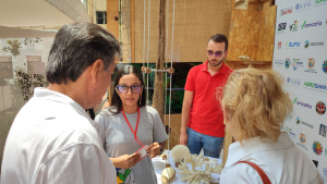 Univalle en la Zona Verde de la COP16