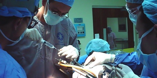 Cuatro m&eacute;dicos de Univalle, en el m&aacute;s alto nivel de Colombia