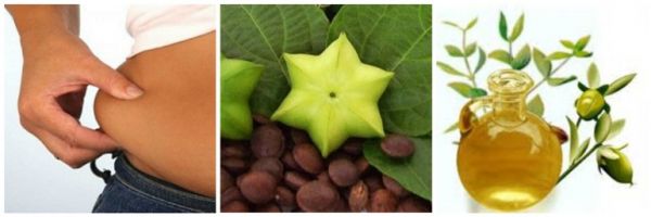 Crean aceite que no engorda