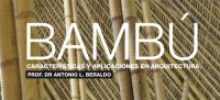 Aprendizajes sobre el bamb&uacute;