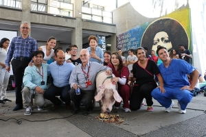 Quimerizaci&oacute;n, un futuro prometedor para los humanos