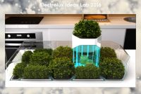 Estudiante de Dise&ntilde;o Industrial entre las mejores del 'Electrolux Ideas Lab'