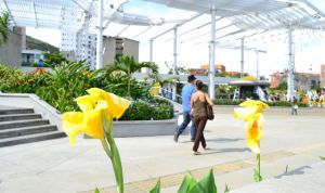 Los planes del Plan, foro sobre el POT