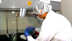 Universidad del Valle abrir&aacute; doctorados y maestr&iacute;as