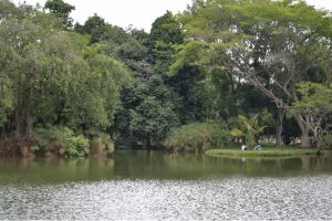 Significaci&oacute;n y Alcance de los Mecanismos de Participaci&oacute;n Ambiental en Santiago de Cali