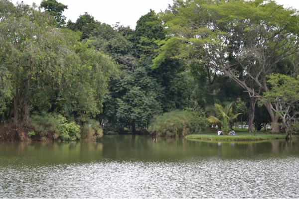 Significaci&oacute;n y Alcance de los Mecanismos de Participaci&oacute;n Ambiental en Santiago de Cali